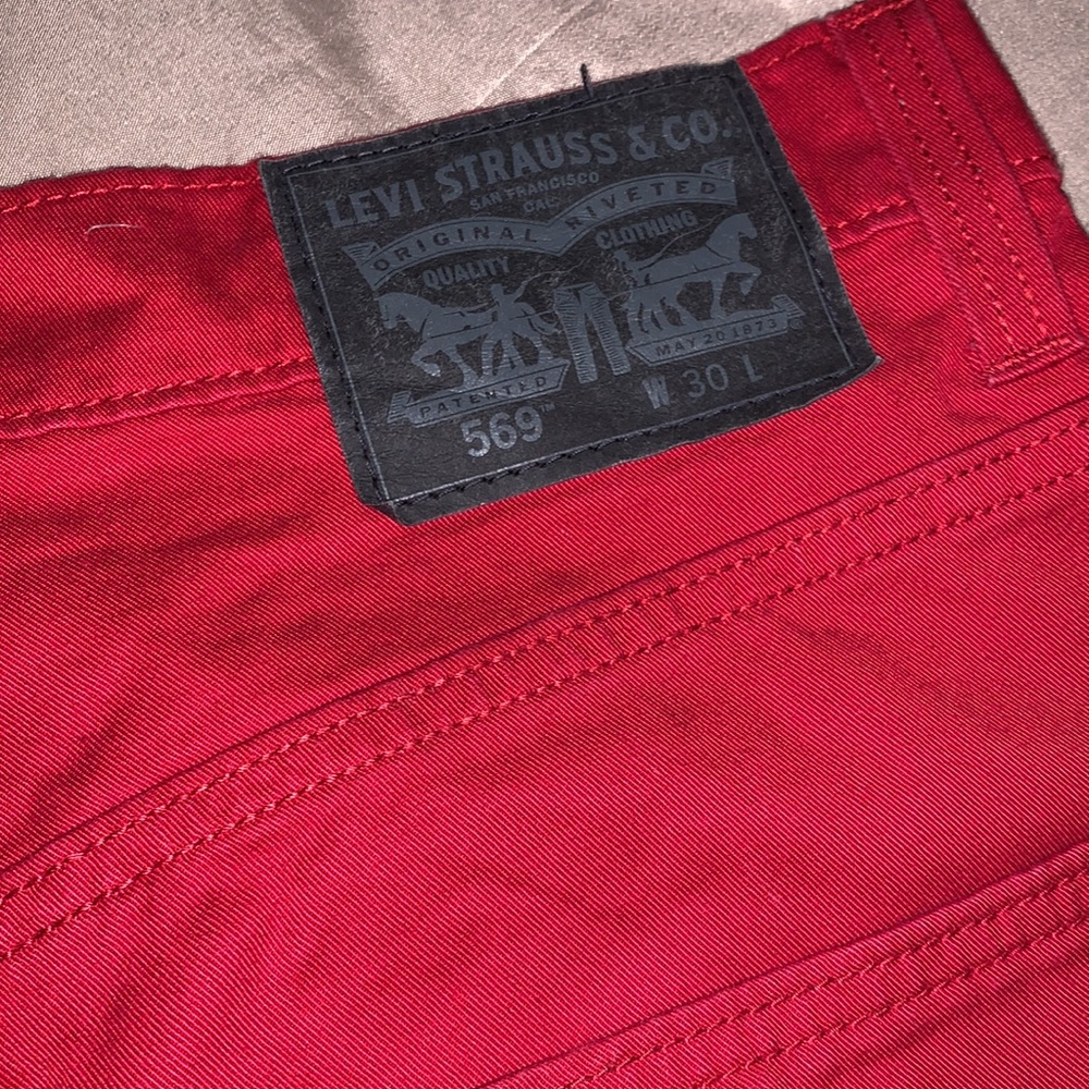 Levi - Picture 4 of 4